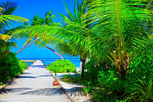 Obraz Letná dovolenka pri mori